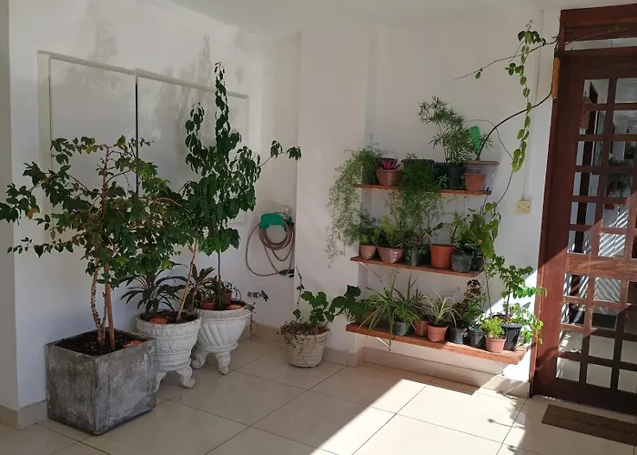 Cantinho Aconchegante 305 Praia Tambau